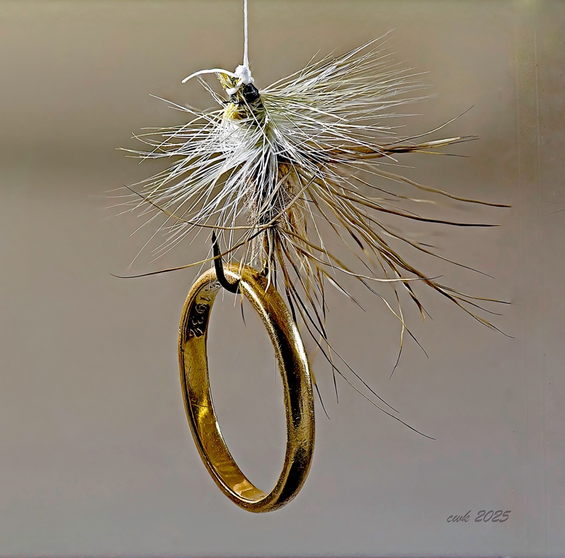 Catch of the Day by artist Charlie Kreitler